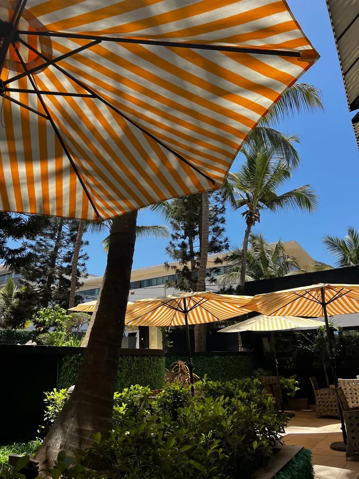 The Palms Luxury Boutique Hotel garden